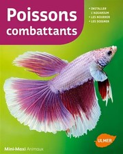 Poissons combattants renaud d'occasion Poissons combattants renaud d'occasion  France