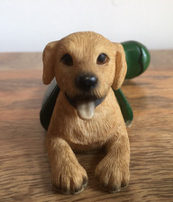 Golden labrador puppy for sale  STOKE-ON-TRENT