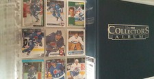 Quebec nordiques 314 gebraucht kaufen  Berlin