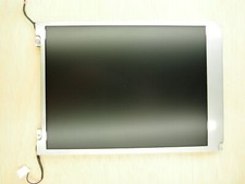 Auo ptronics lcd gebraucht kaufen  Kranenburg