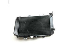 Radiador 22 BMW G310GS 17118558350 comprar usado  Enviando para Brazil