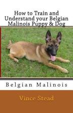 Train understand belgian for sale  Forest Grove