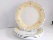 Staffordshire kiln craft for sale  HAYWARDS HEATH