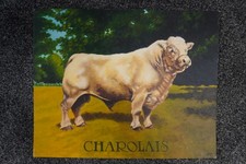 Original oil painting for sale  STRANRAER