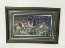 Framed ring necked for sale  South Bend