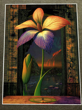 Sunset iris framed for sale  House Springs
