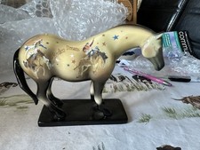 Trail painted ponies for sale  COALVILLE