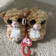 Beanie boos cat for sale  New Hope