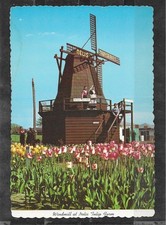 Vintage picture postcard for sale  Browntown