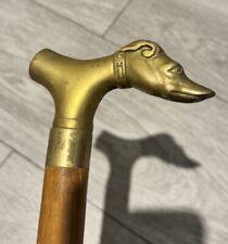 greyhound cane for sale greyhound cane for sale SHEFFIELD
