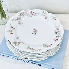 Haviland co. limoges for sale  Southbury