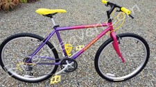 Mint restored 1993 for sale  Pacifica