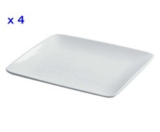 piatti rettangolari usato  Torricella in Sabina