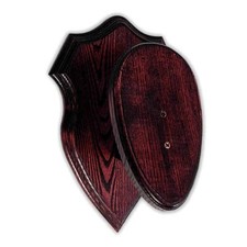 Trophäenschild mufflon eschen gebraucht kaufen Trophäenschild mufflon eschen gebraucht kaufen  Versand nach Germany