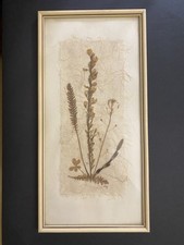 Quadro fiori secchi usato  Valeggio sul Mincio
