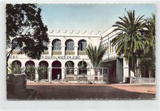 Djibouti zinc palm d'occasion  France