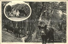 Darmstadt berwaldhaus wildpark gebraucht kaufen  Deutschland
