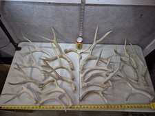 9.3lbs bulk lot for sale  Valley City