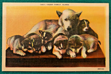 Linen postcard animal for sale  Ashville