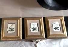 wall set art gold for sale wall set art gold for sale Corona