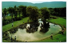 Cartão postal muito bom estado Orvis Fly Casting School em Manchester Vermont prática de elenco comprar usado  Enviando para Brazil
