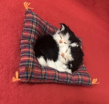 Cute sleeping long for sale  WHITSTABLE