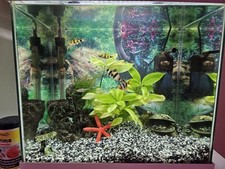 Fish tank complete for sale  BIGGLESWADE