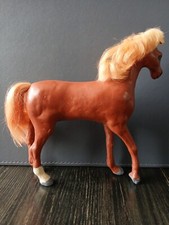 arabian horse for sale arabian horse for sale RICHMOND