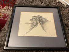 Gun dog grouse for sale  LEATHERHEAD