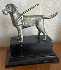 blind dog for sale blind dog for sale WIRRAL