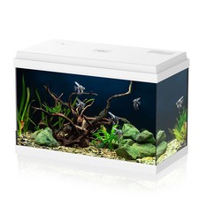Simply acquario completo usato  Italia