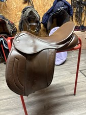 Show working hunter for sale Show working hunter for sale  NEWTON STEWART