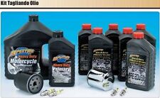 Kit tagliando harley usato  Anagni