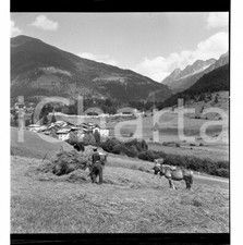 1954 ponte legno usato  Milano