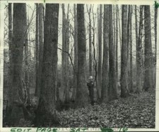 1976 press photo for sale  Memphis