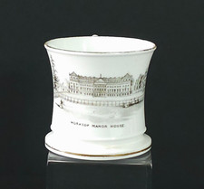 Staffordshire porcelain mug for sale  LOUGHBOROUGH