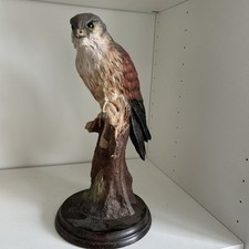 Vintage kestral bird for sale  KIDDERMINSTER