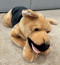 Kids preferred dog for sale  Grand Rapids