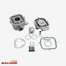 Moteur malossi mobylette d'occasion  Bourg-Argental
