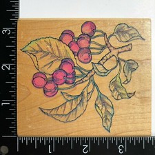 Rubber stampede cherry for sale  Palmetto