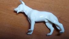 Joli petit chien d'occasion  Brive-la-Gaillarde