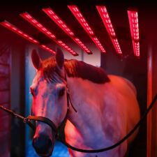 Pferd solarium redfy gebraucht kaufen  Versand nach Germany