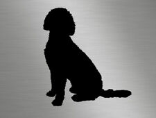 Labradoodle dog car for sale  BRIDGWATER