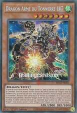 Dragon armé tonnerre d'occasion  France