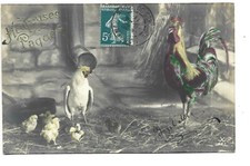 Fancy card chicken d'occasion  Expédié en Belgium