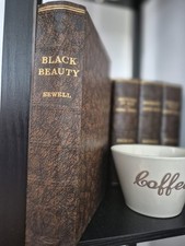 Black beauty sewell for sale  SHEFFIELD