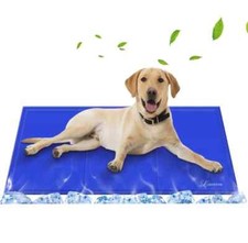 Lauva dog pets for sale  CANNOCK