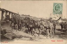 Old postcard morocco d'occasion  Expédié en Belgium