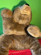 Steiff studiotier bär gebraucht kaufen  Mühldorf a.Inn