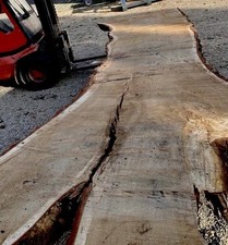 Eichenbohle xxl breite gebraucht kaufen  Kelheim